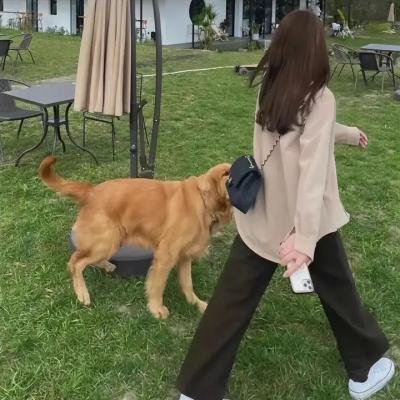 非标准恋爱